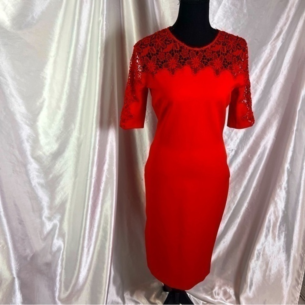 Zara Red Floral Lace Semi-Fitted Knee-Length Dress NWT | Romantic Trendy S